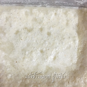 หัวเชื้อแป้งหมัก